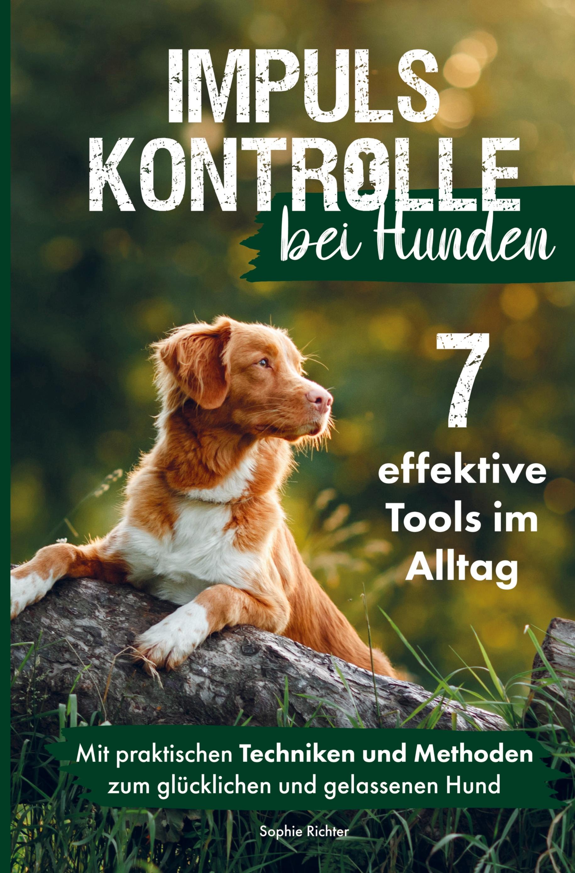 Impulskontrolle bei Hunden: 7 effektive Tools im Alltag