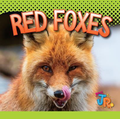 Red Foxes