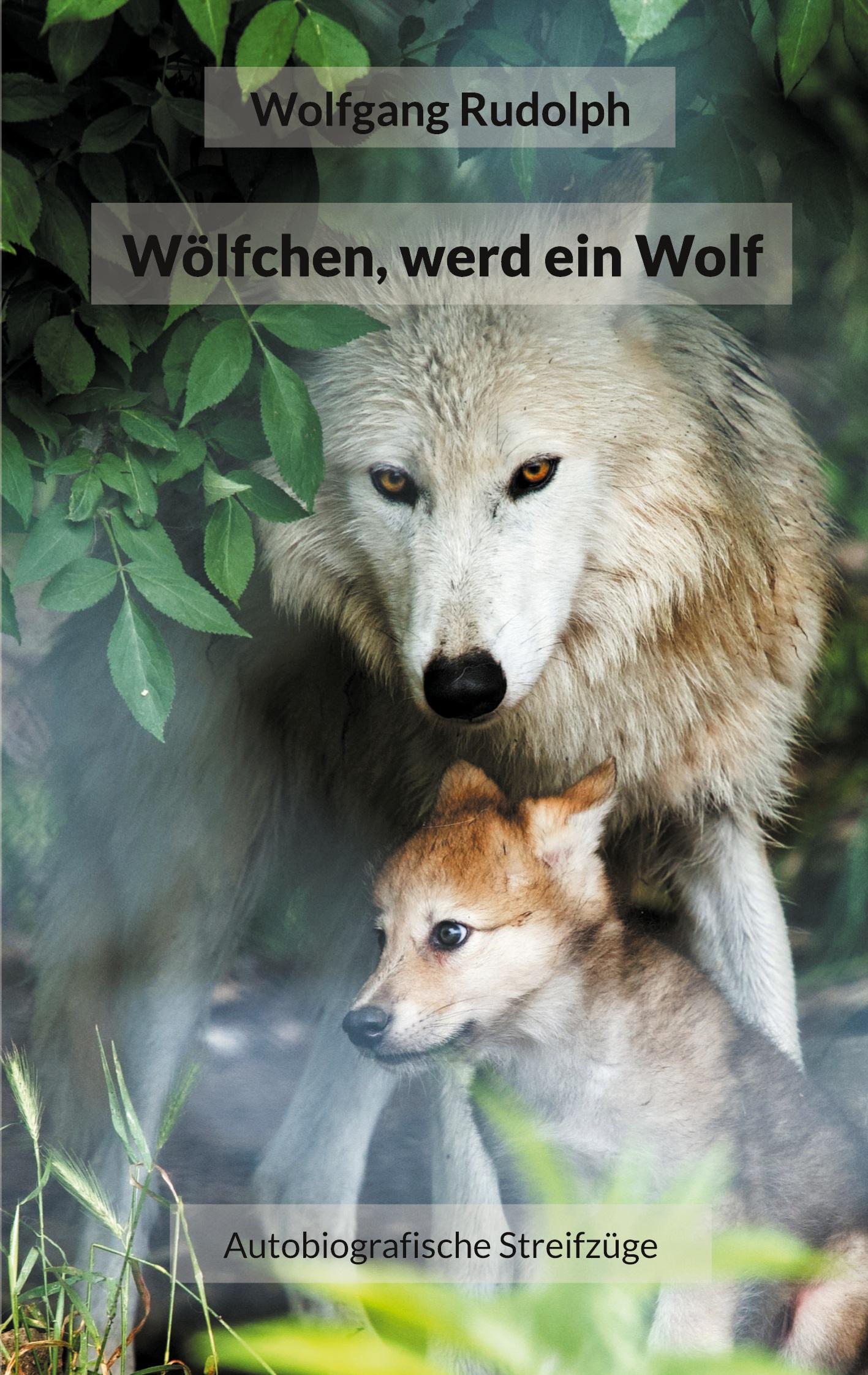 Wölfchen, werd ein Wolf