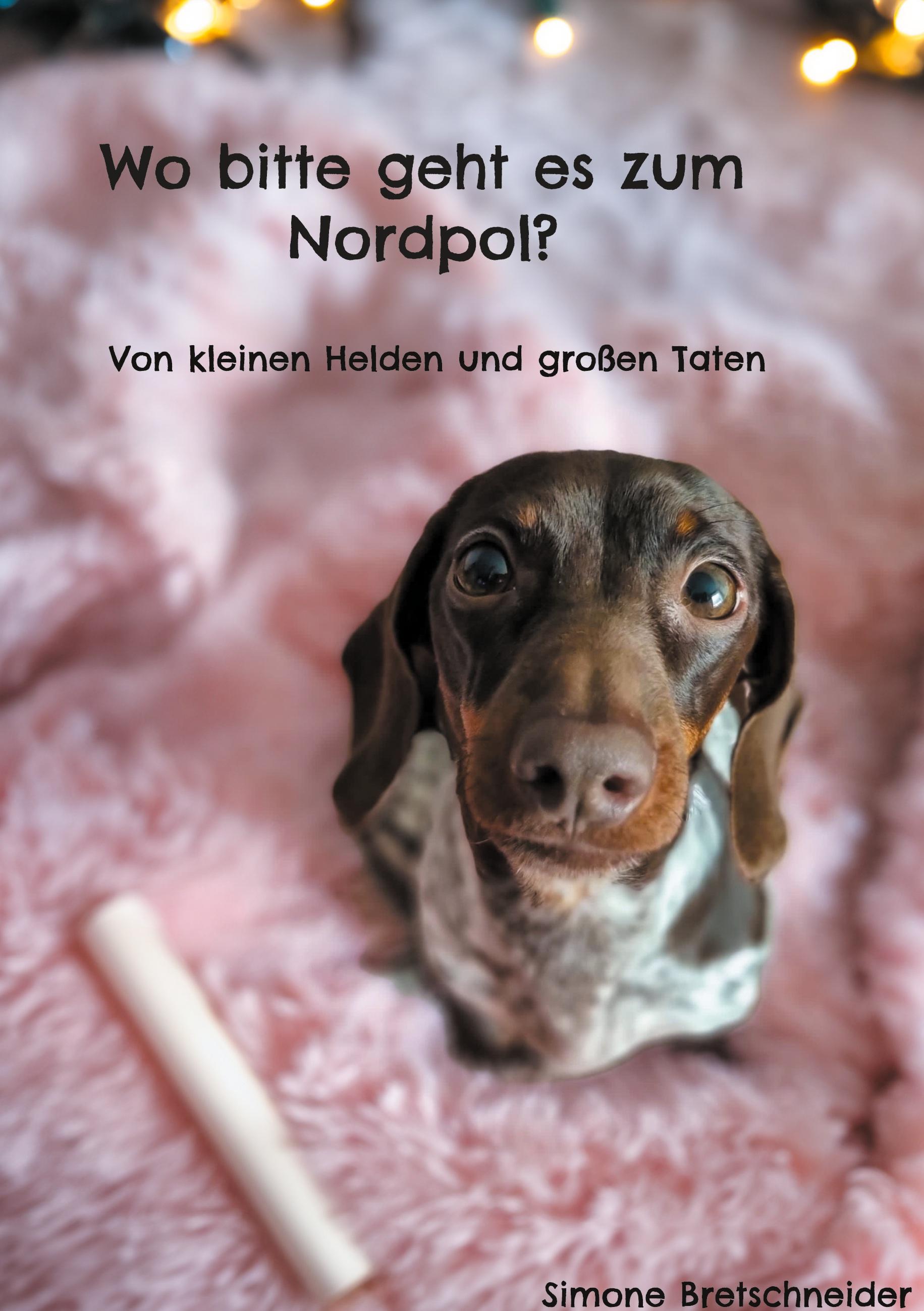 Wo bitte geht es zum Nordpol?