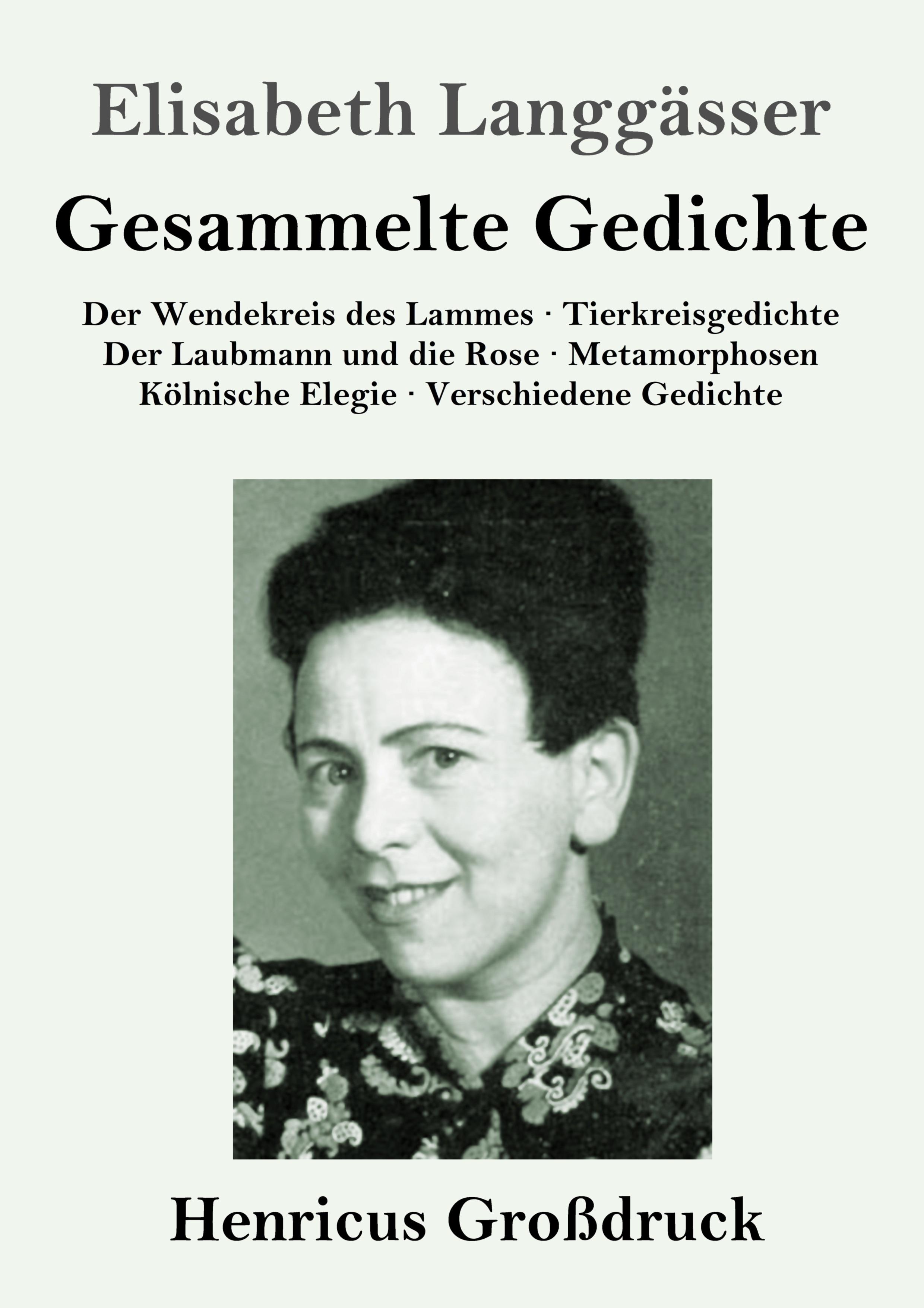 Gesammelte Gedichte (Großdruck)