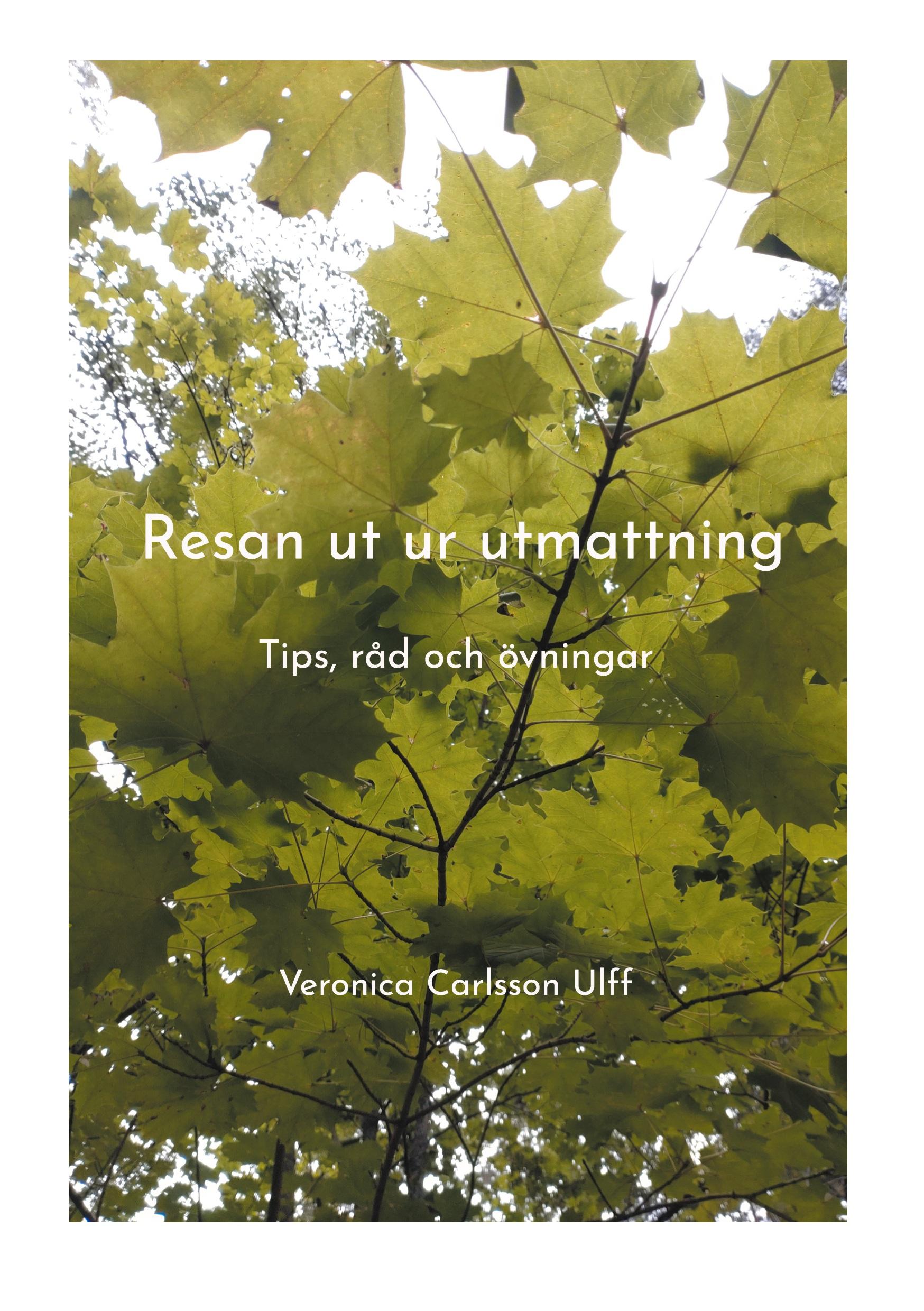 Resan ut ur utmattning