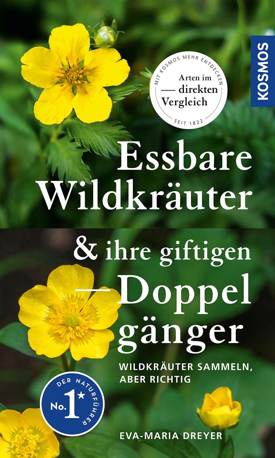 Essbare Wildkräuter und ihre giftigen Doppelgänger