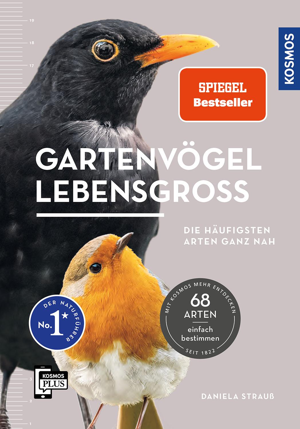 Gartenvögel lebensgroß