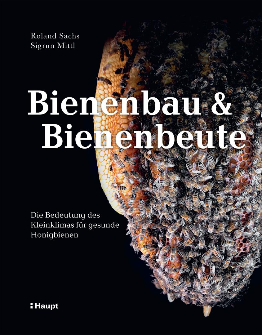 Bienenbau und Bienenbeute