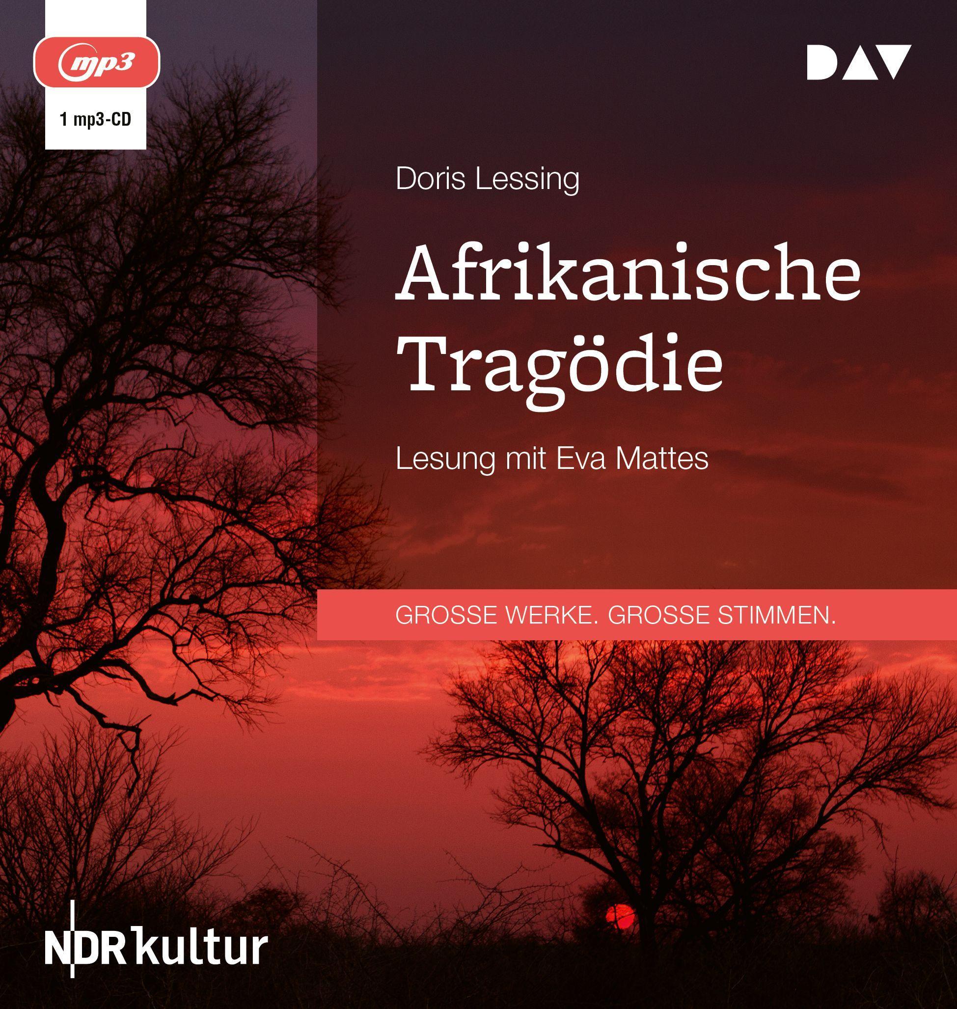 Afrikanische Tragödie