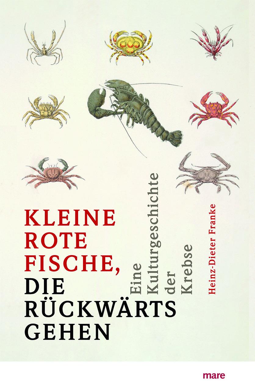 'Kleine rote Fische, die rückwärtsgehen'