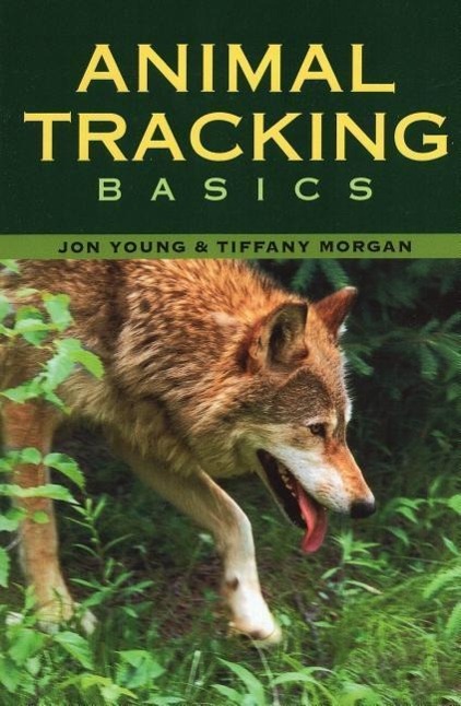 Animal Tracking Basics