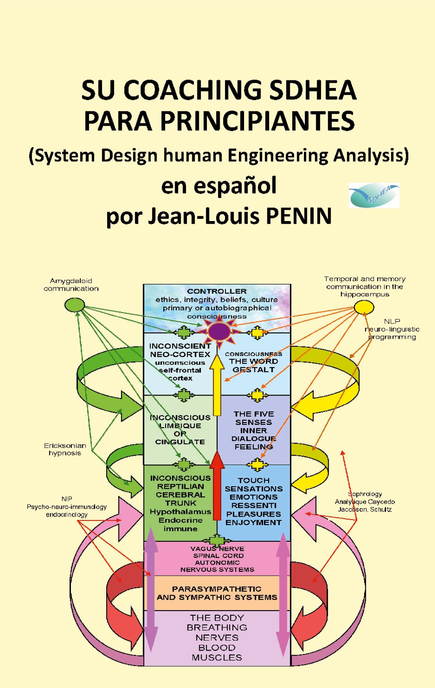 Su coaching SDHEA para principiantes