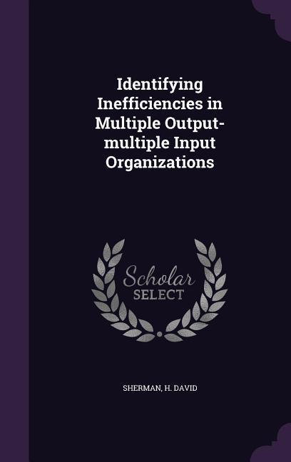 Identifying Inefficiencies in Multiple Output-Multiple Input Organizations