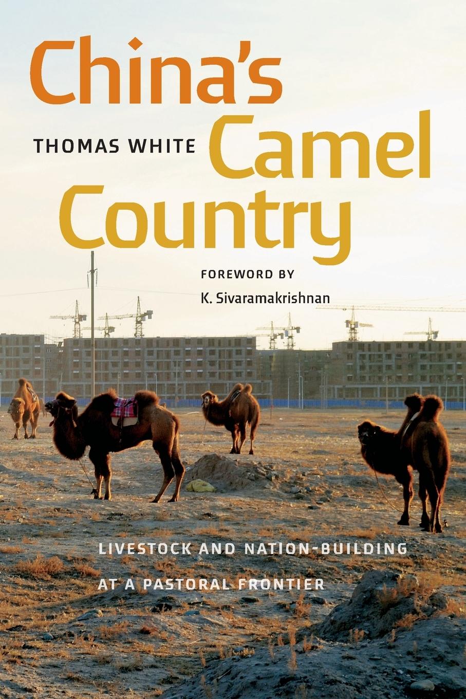 China's Camel Country