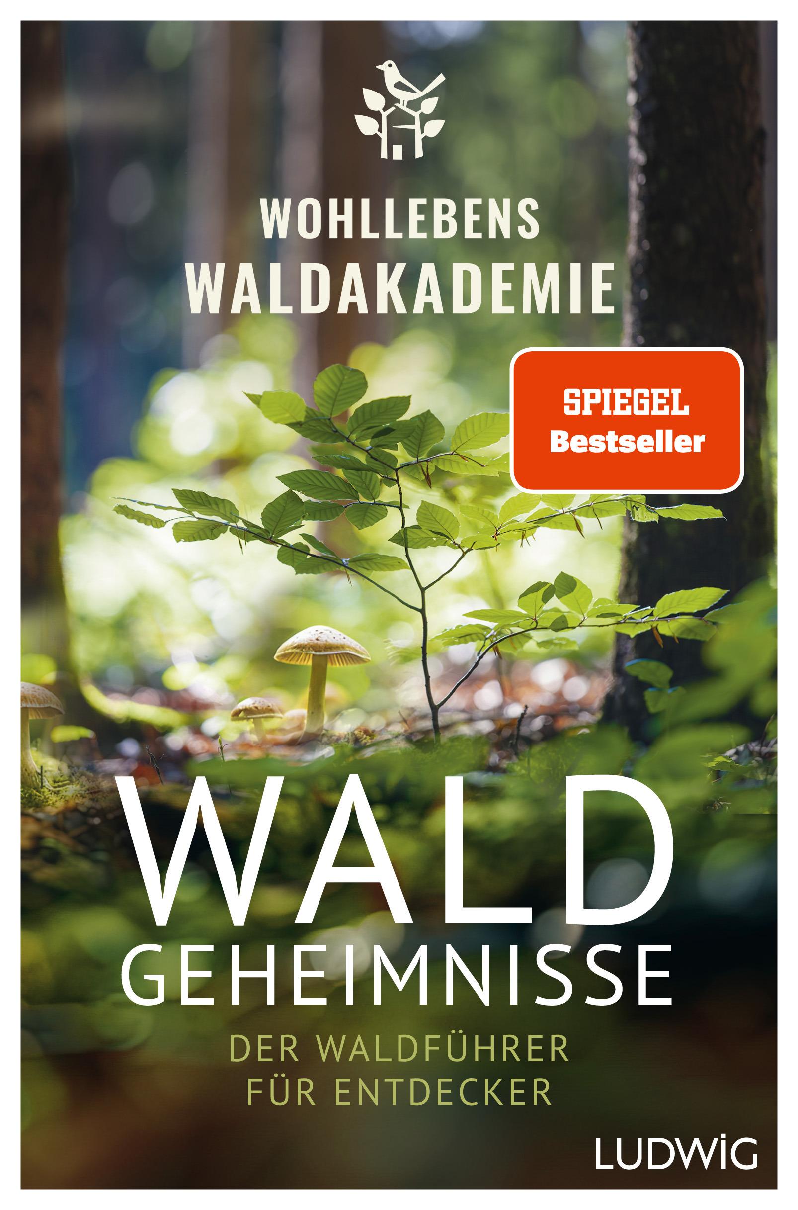 Waldgeheimnisse