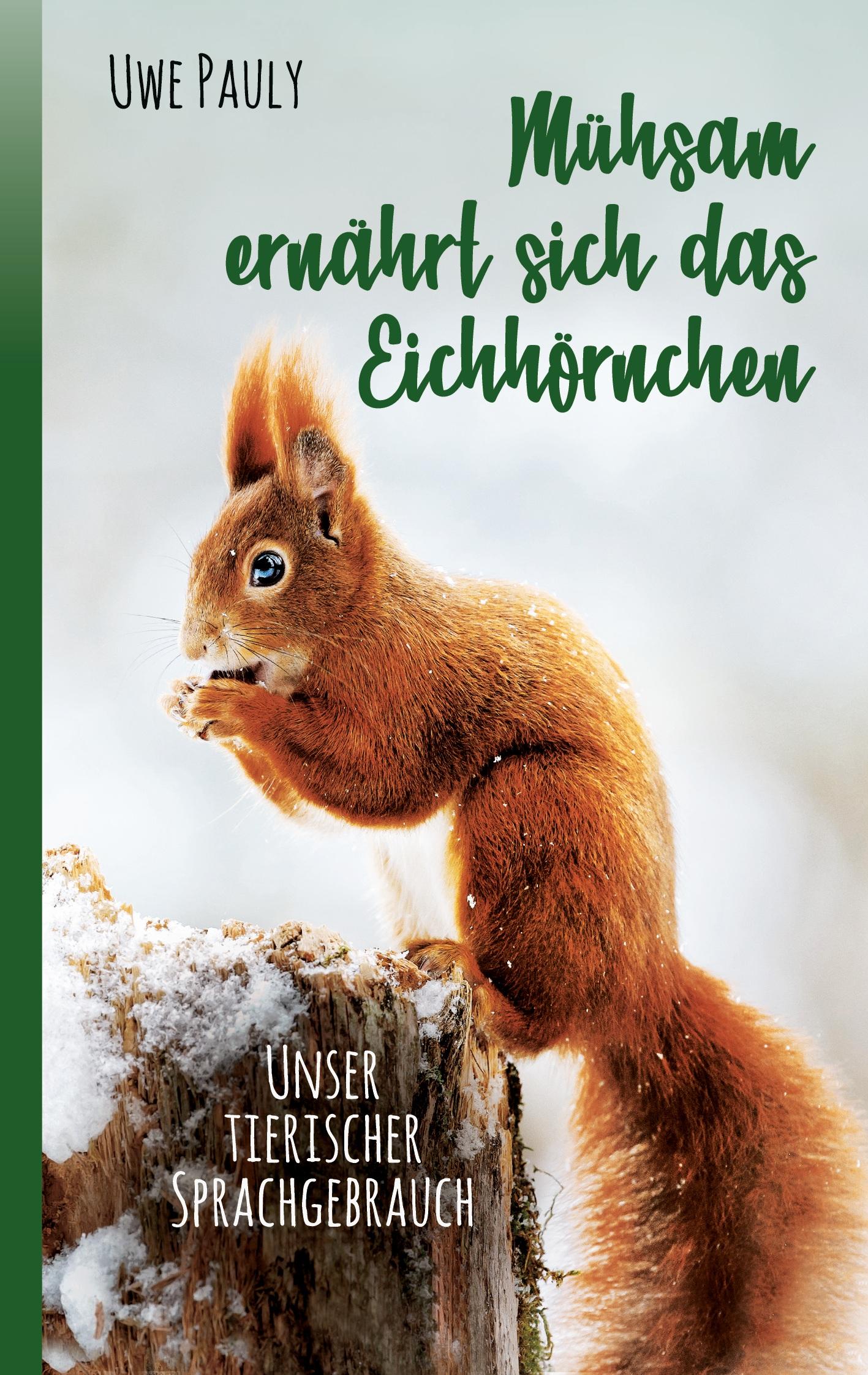 Mühsam ernährt sich das Eichhörnchen