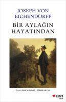 Bir Aylagin Hayatindan