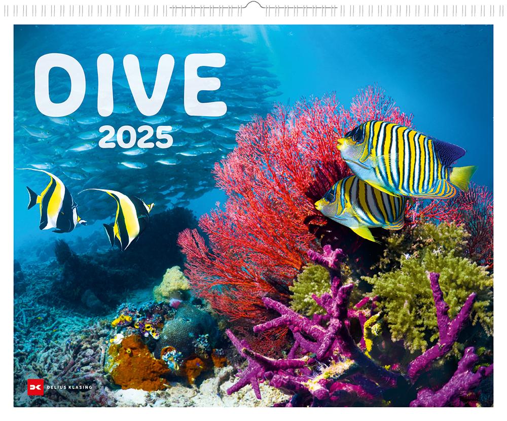 Dive 2025