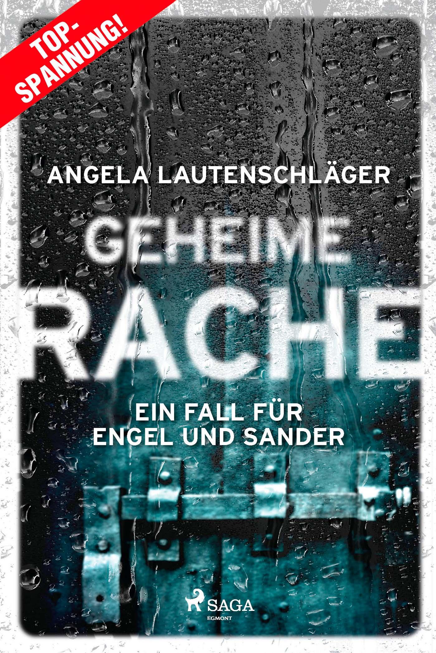 Geheime Rache - Ein Fall für Engel und Sander 2