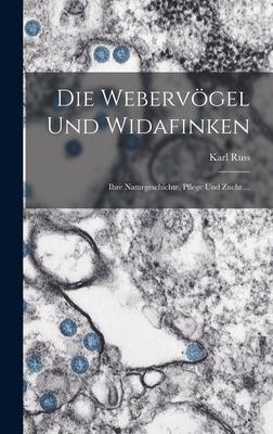 Die Webervögel Und Widafinken