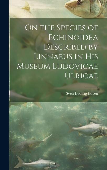 On the Species of Echinoidea Described by Linnaeus in His Museum Ludovicae Ulricae