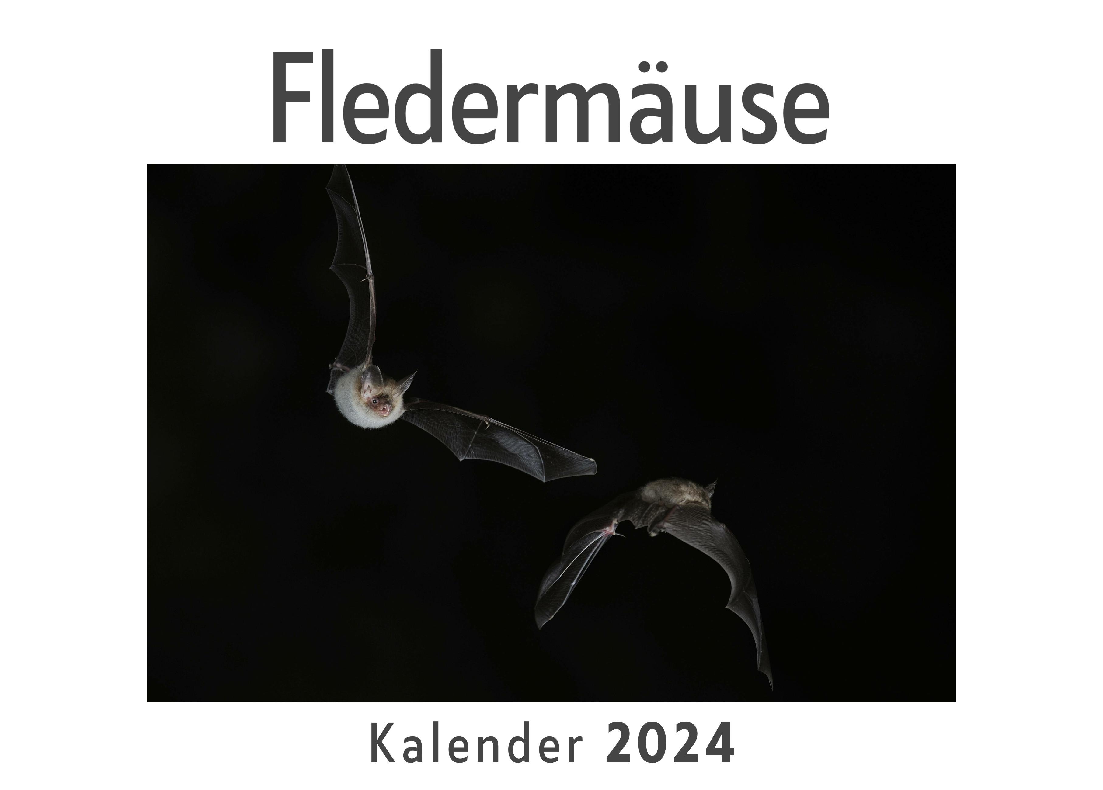 Fledermäuse (Wandkalender 2024, Kalender DIN A4 quer, Monatskalender im Querformat mit Kalendarium, Das perfekte Geschenk)