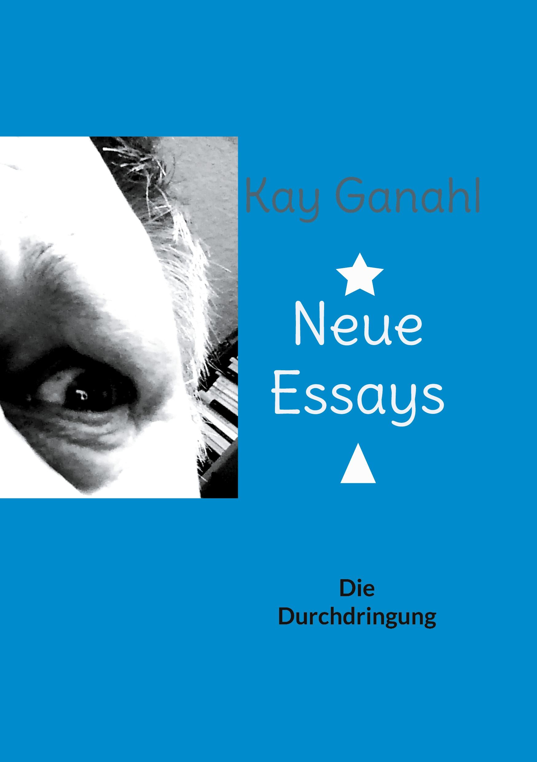 Neue Essays