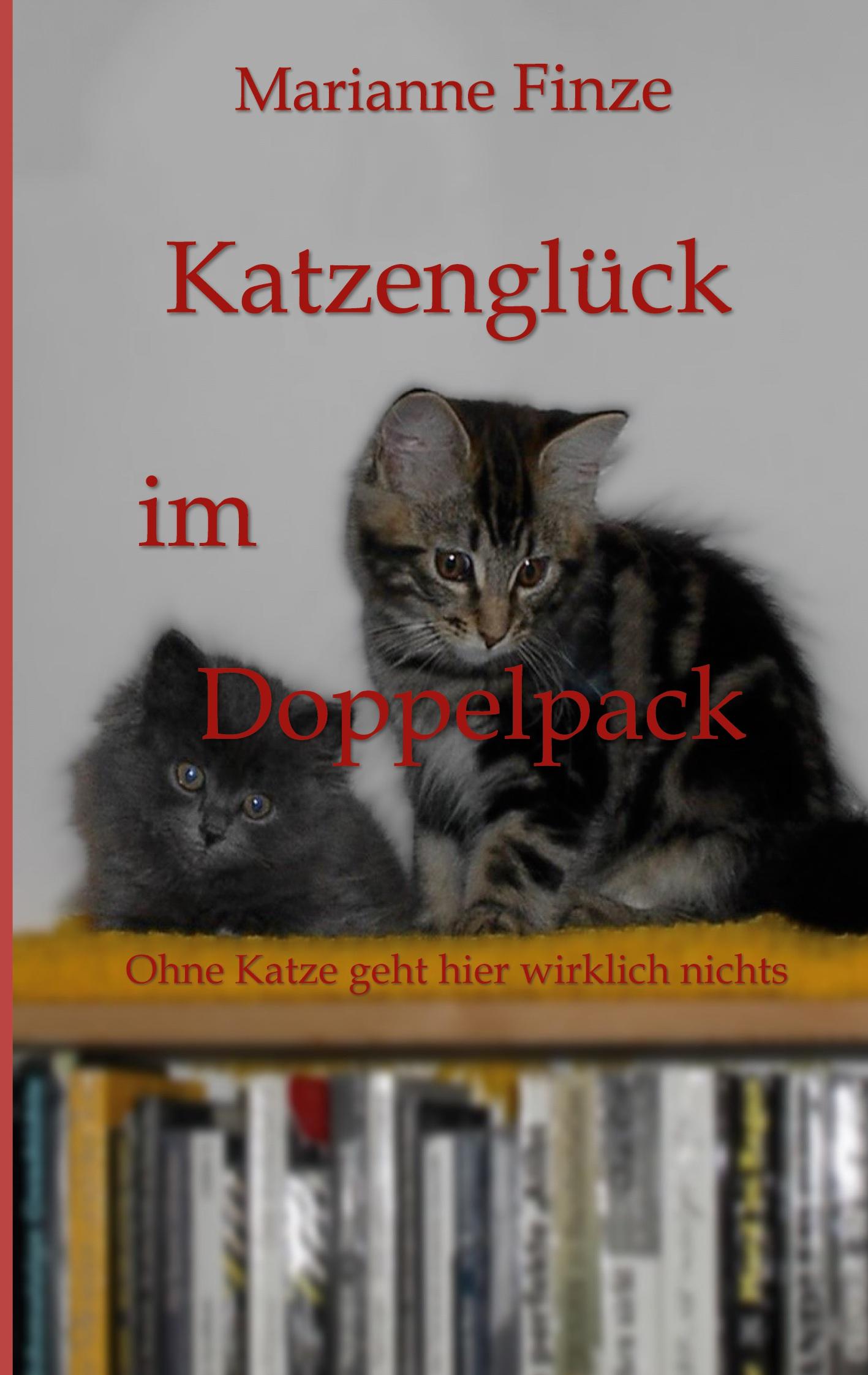 Katzenglück im Doppelpack