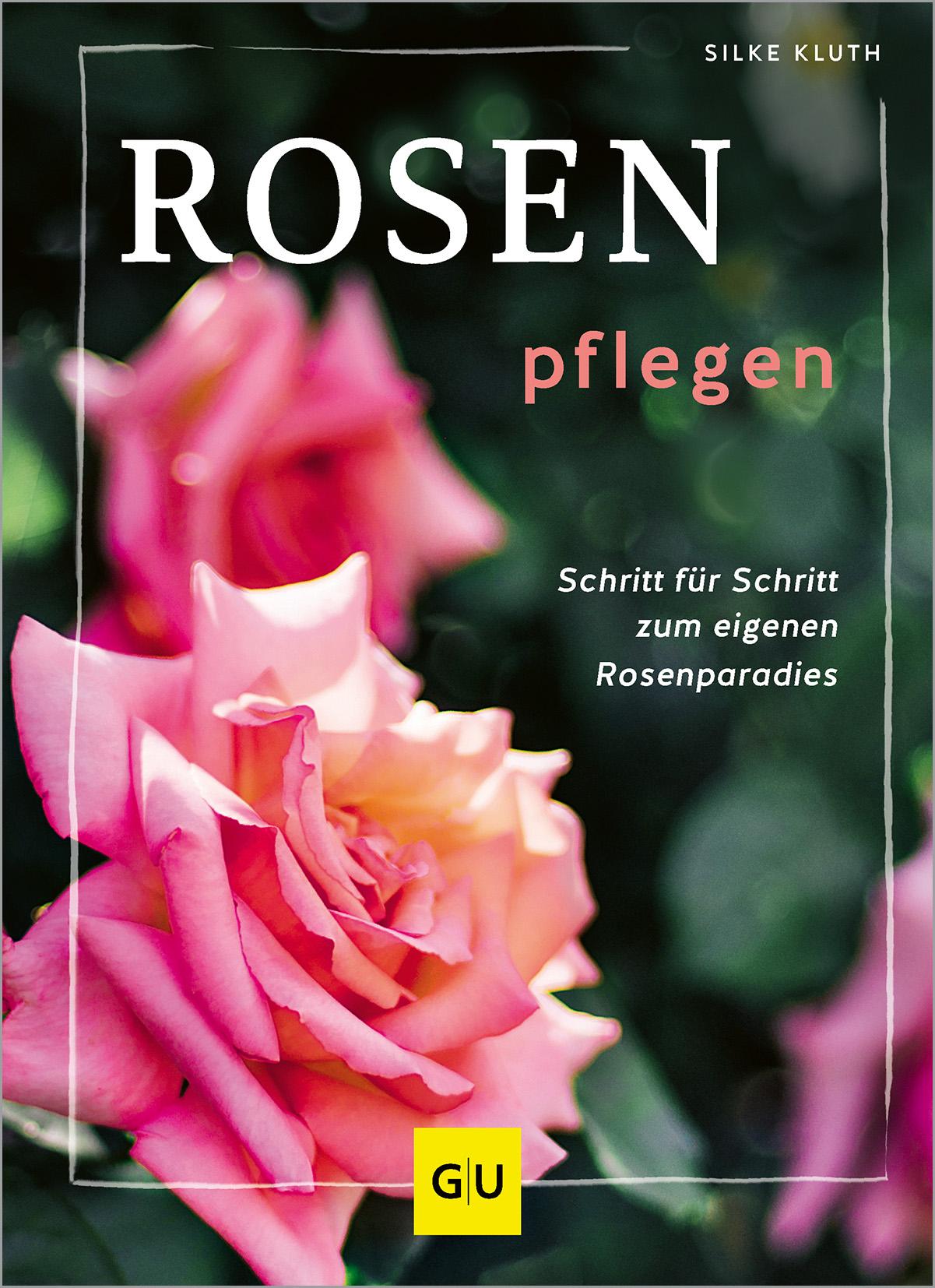 Rosen pflegen