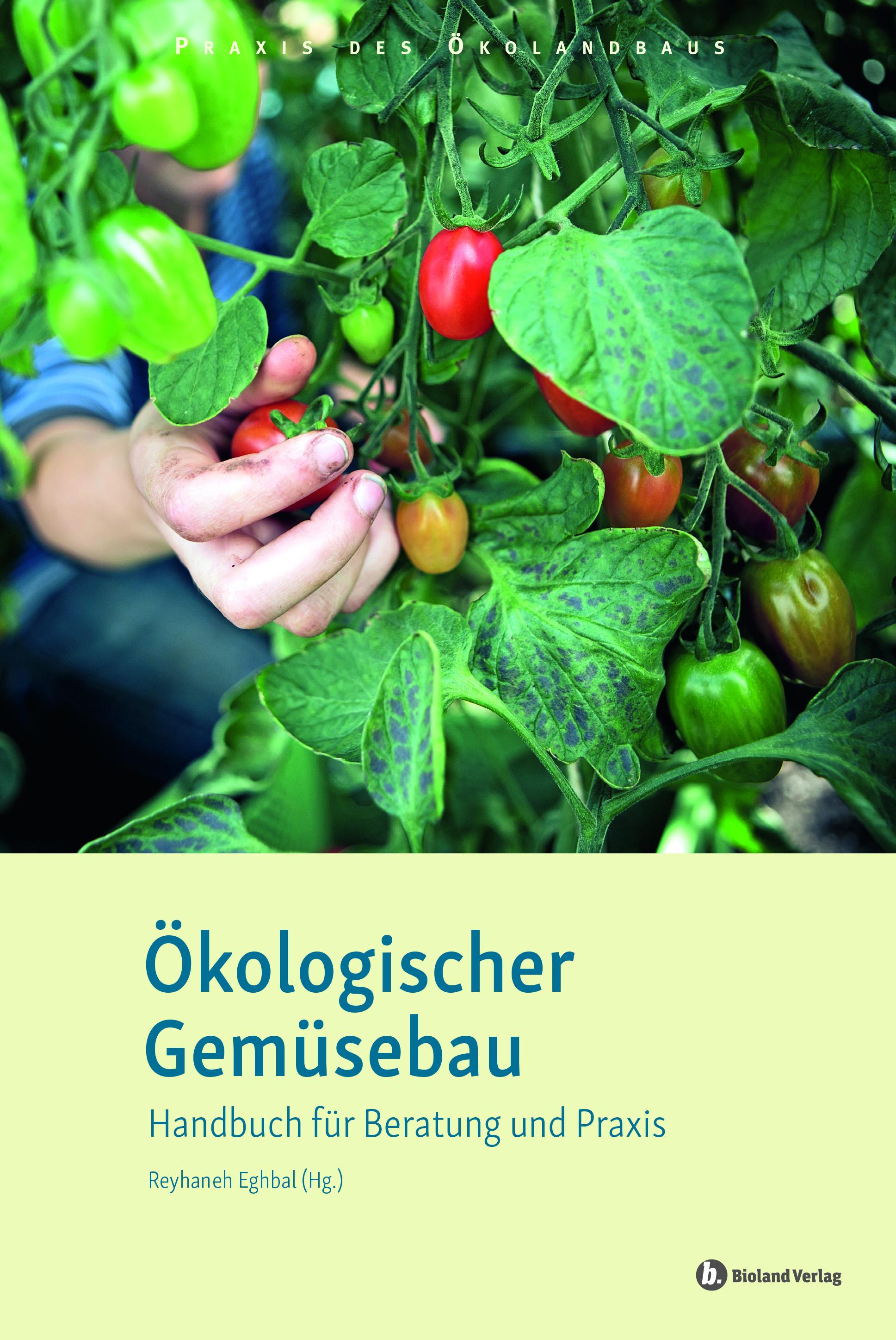 Ökologischer Gemüsebau