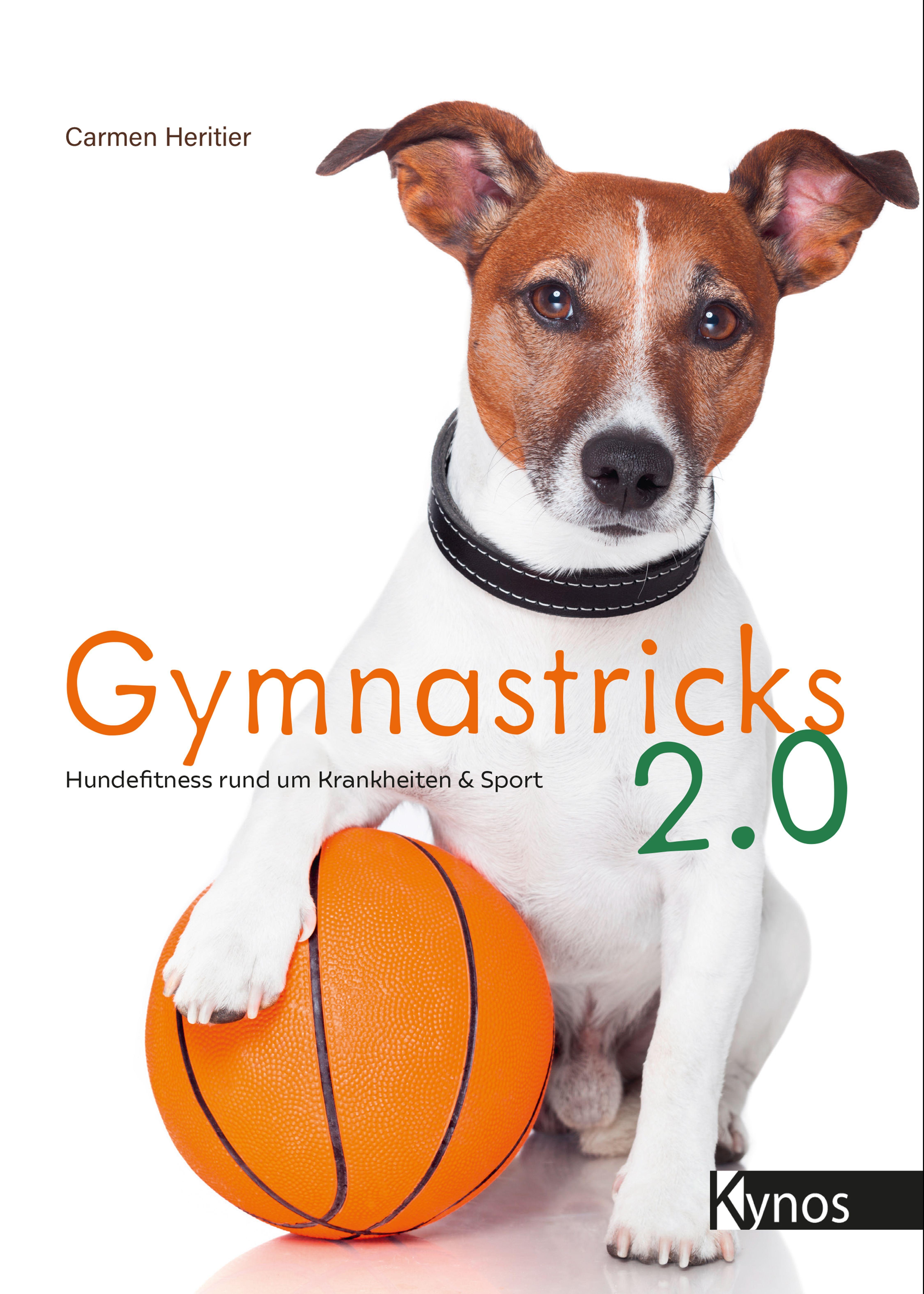 Gymnastricks 2.0