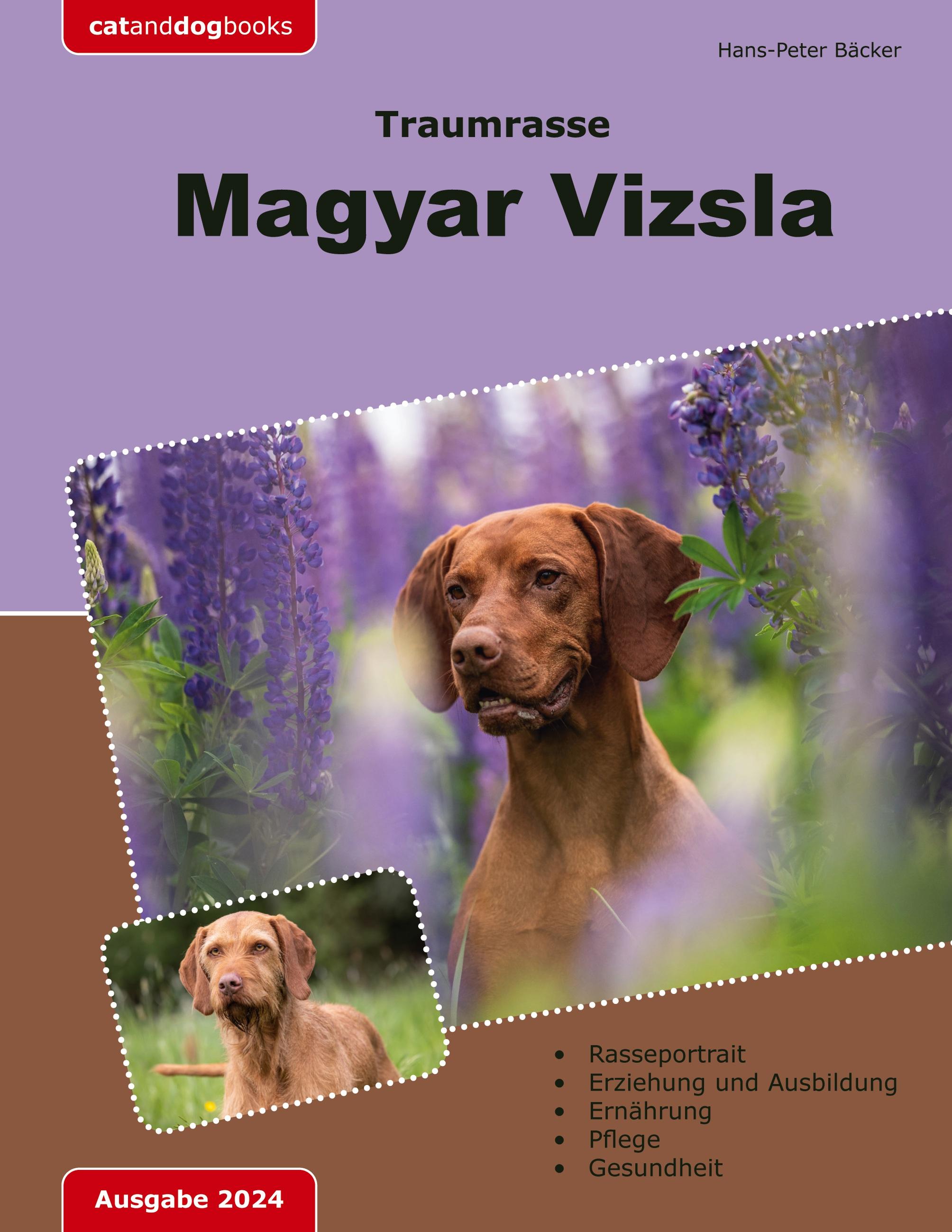 Traumrasse: Magyar Vizsla