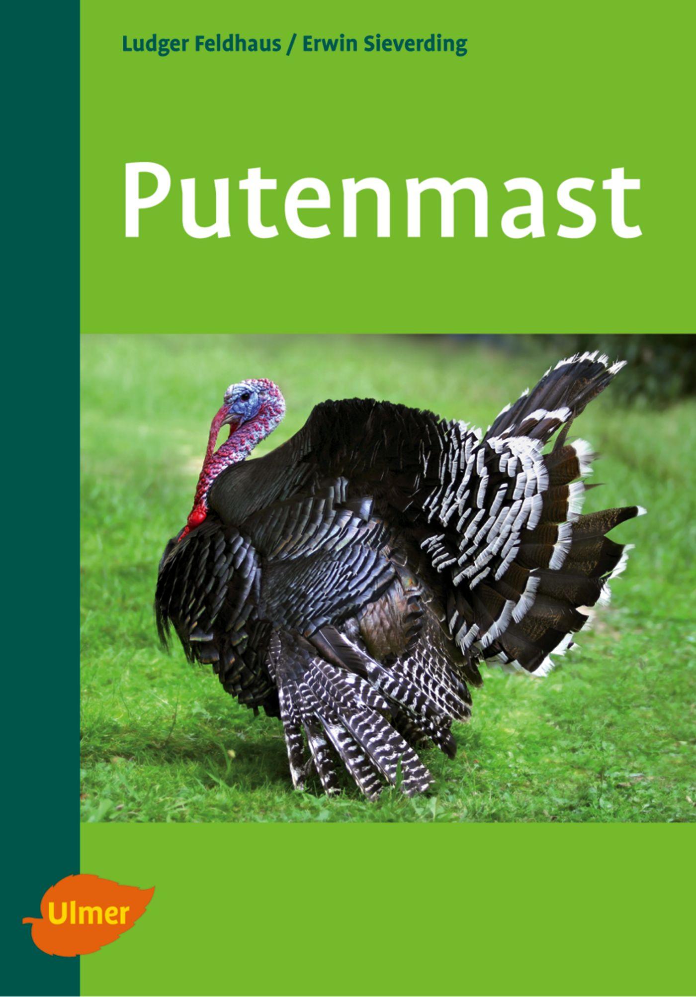 Putenmast