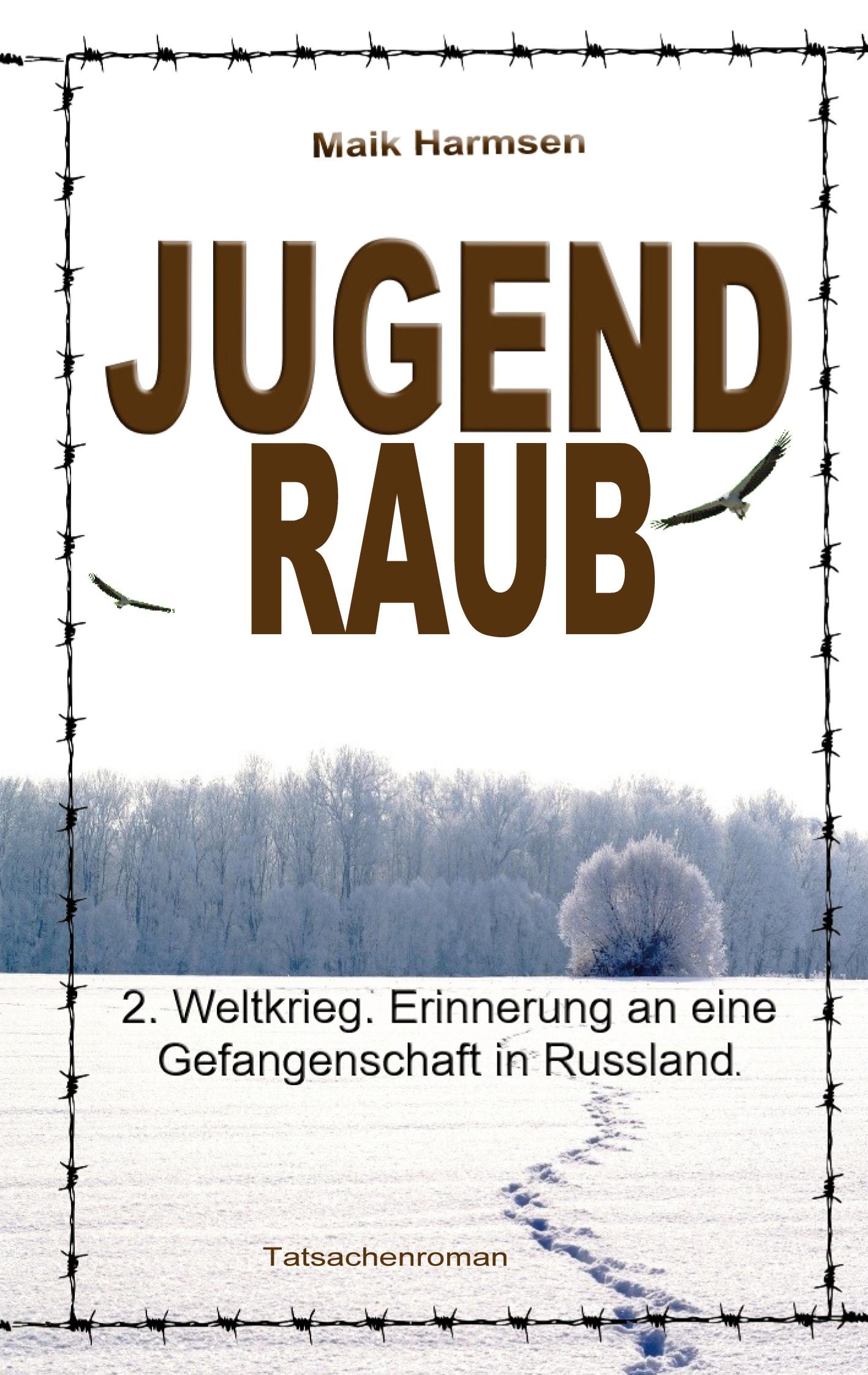 Jugendraub