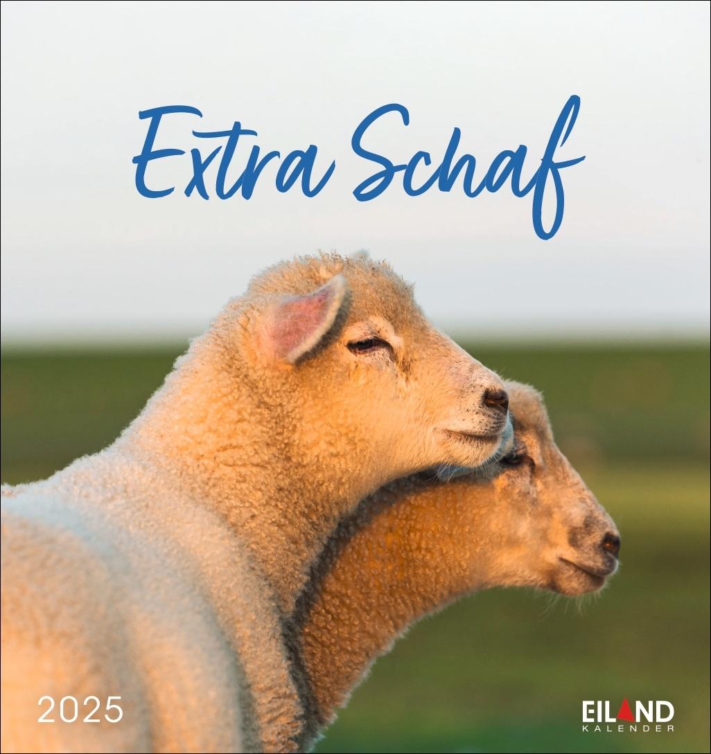 Extra Schaf Postkartenkalender 2025