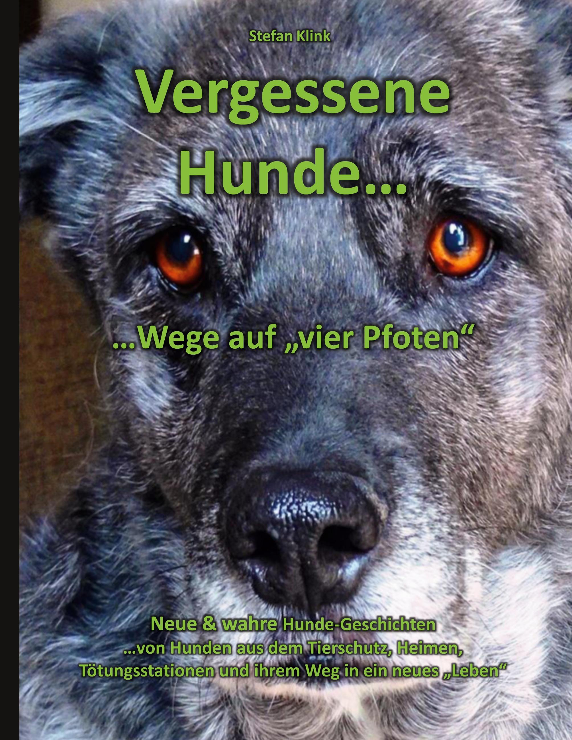 Vergessene Hunde