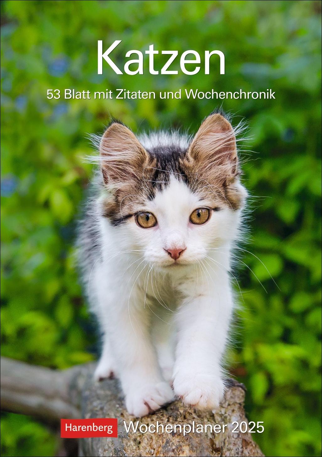 Katzen Wochenplaner 2025 - 53 Blatt mit Zitaten und Wochenchronik