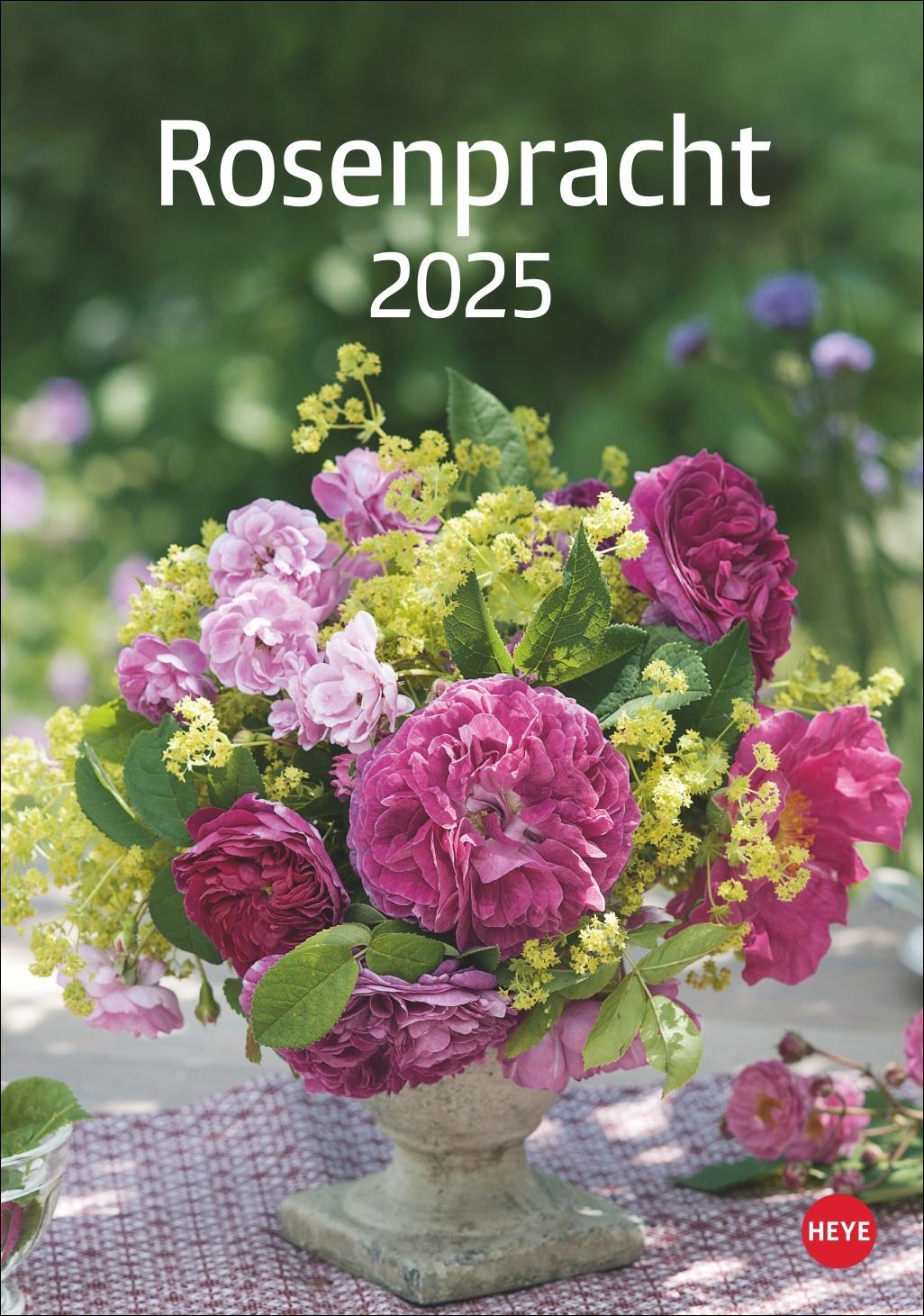 Rosenpracht Kalender 2025