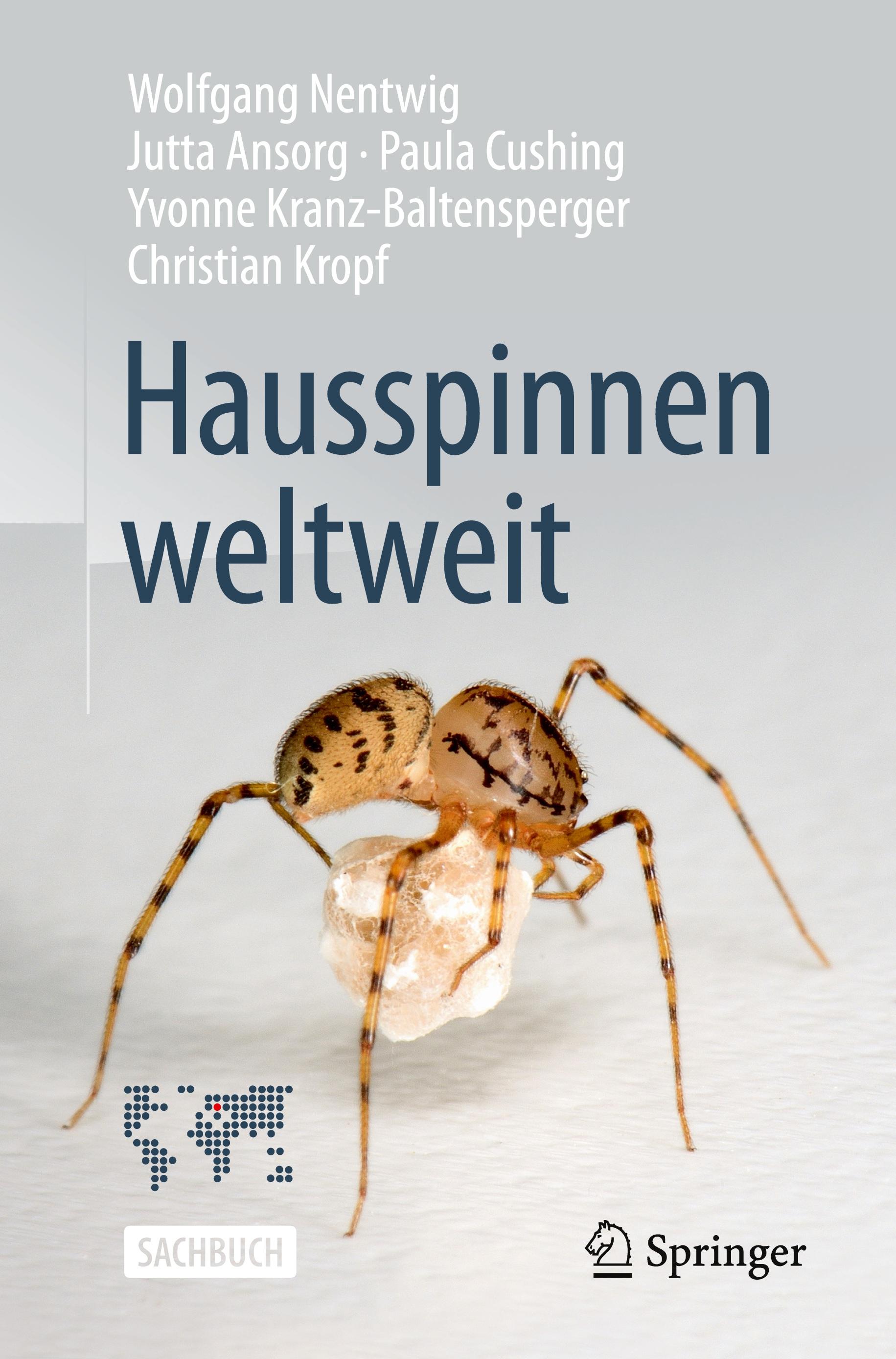 Hausspinnen weltweit