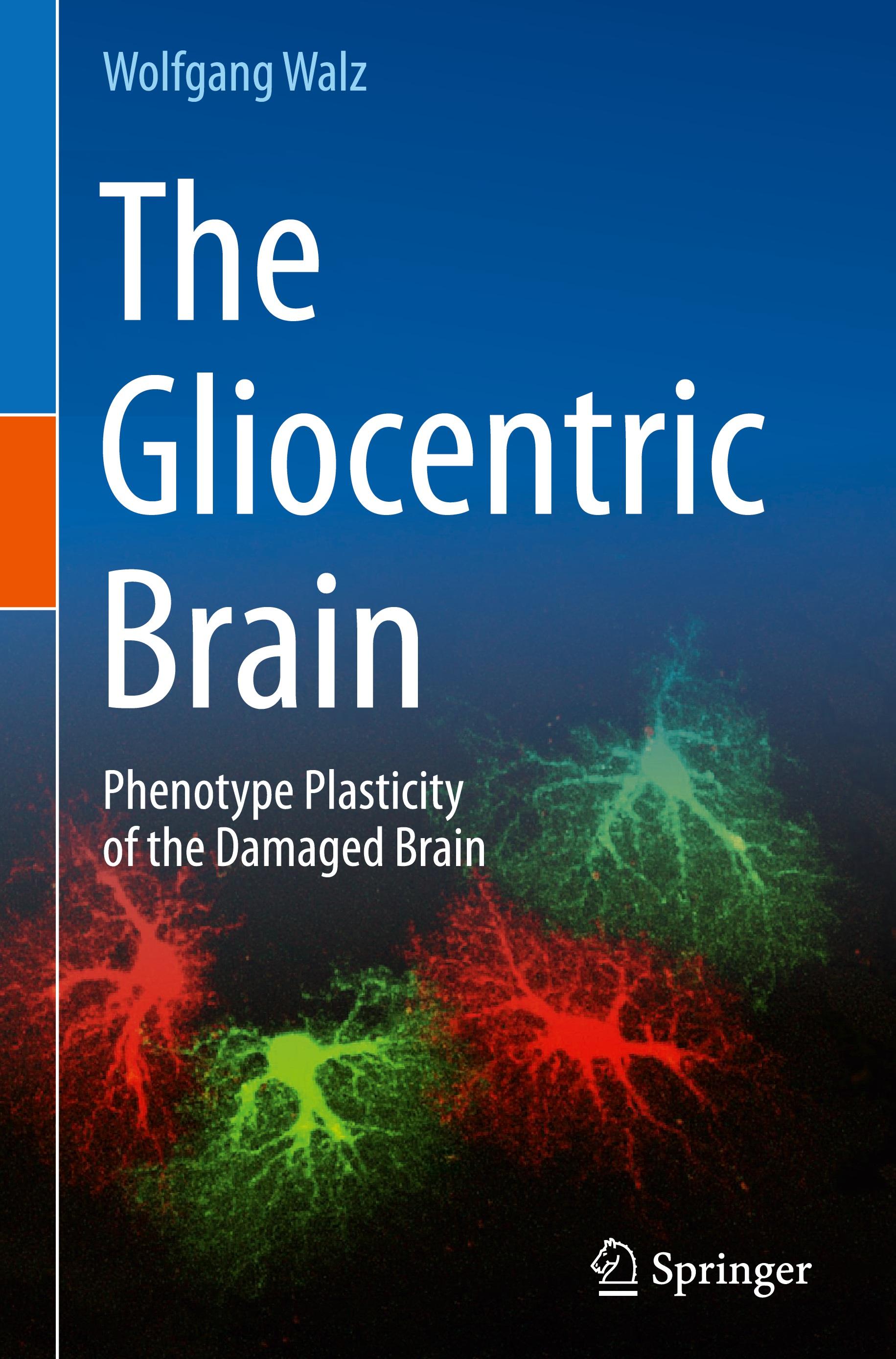 The Gliocentric Brain