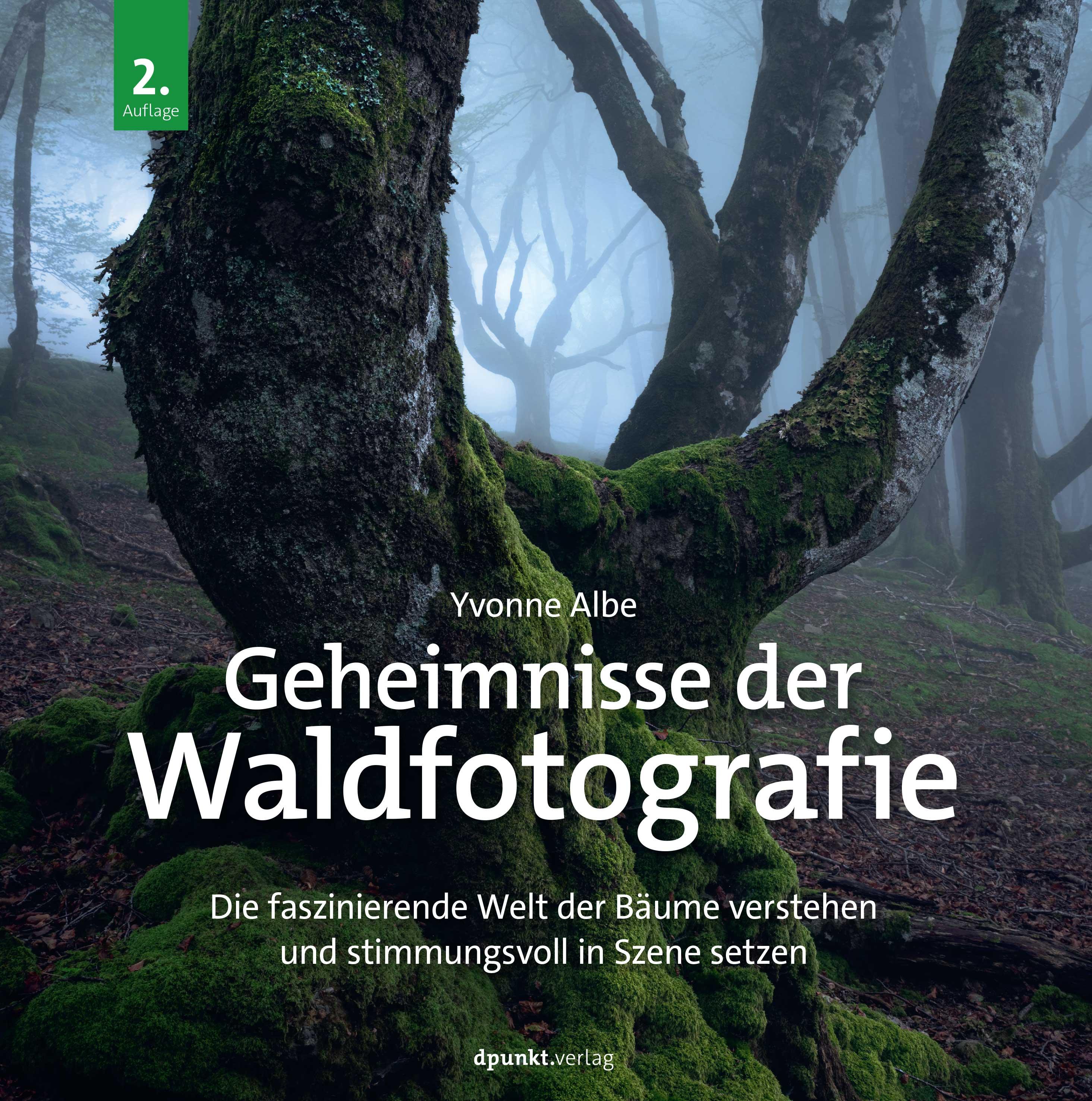 Geheimnisse der Waldfotografie