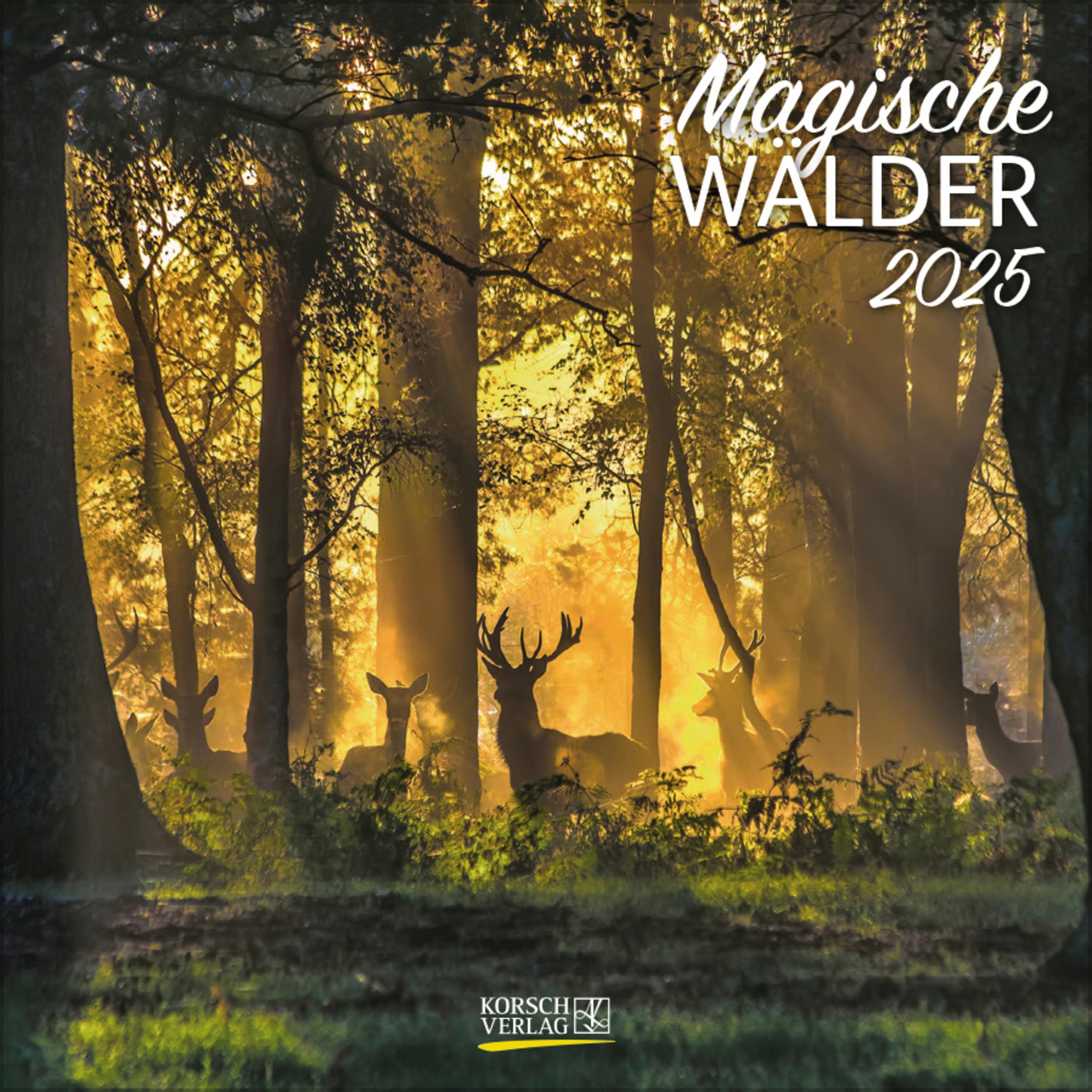 Magische Wälder 2025