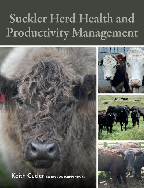 Suckler Herd Health and Productivity Management