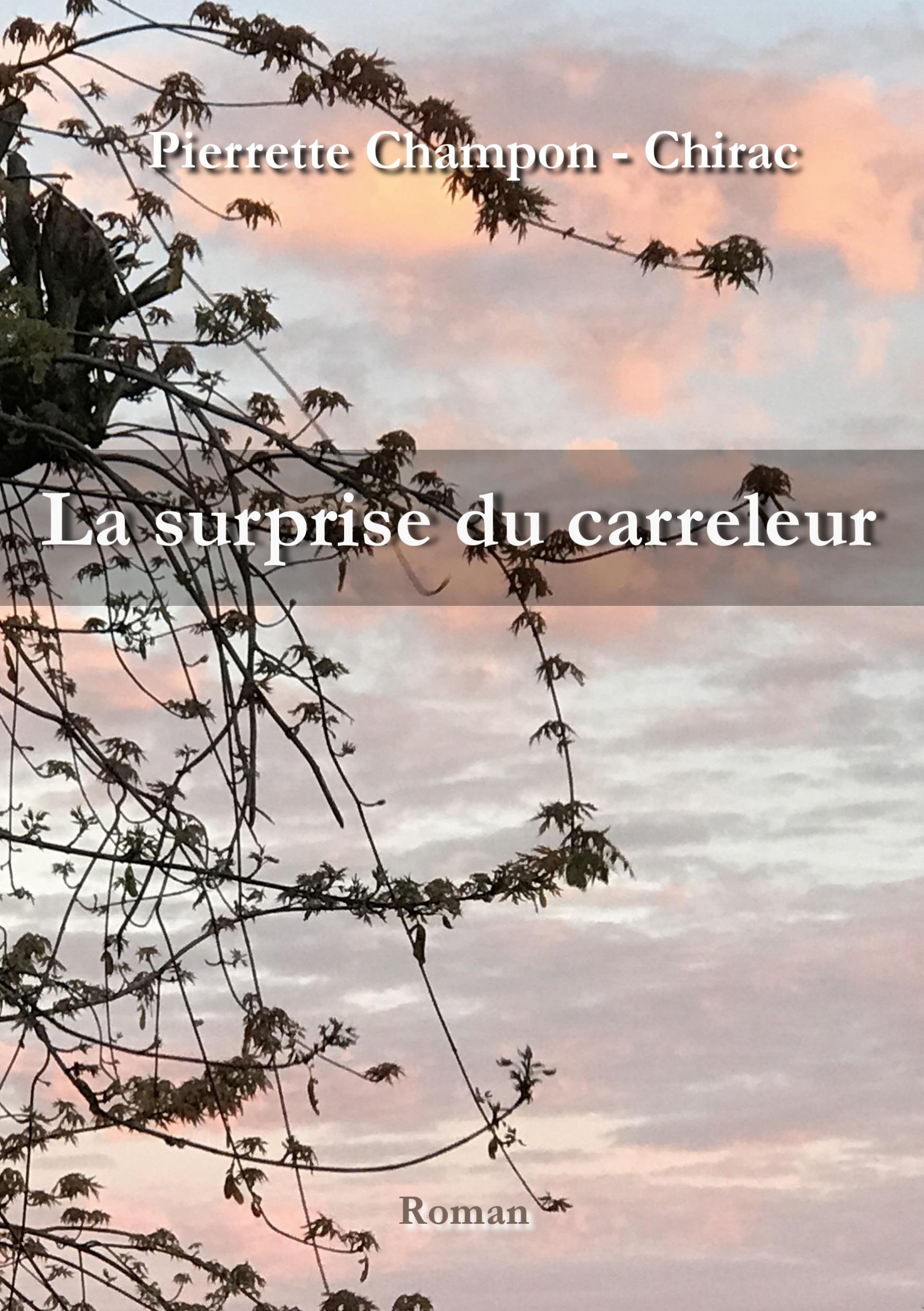 La surprise du carreleur