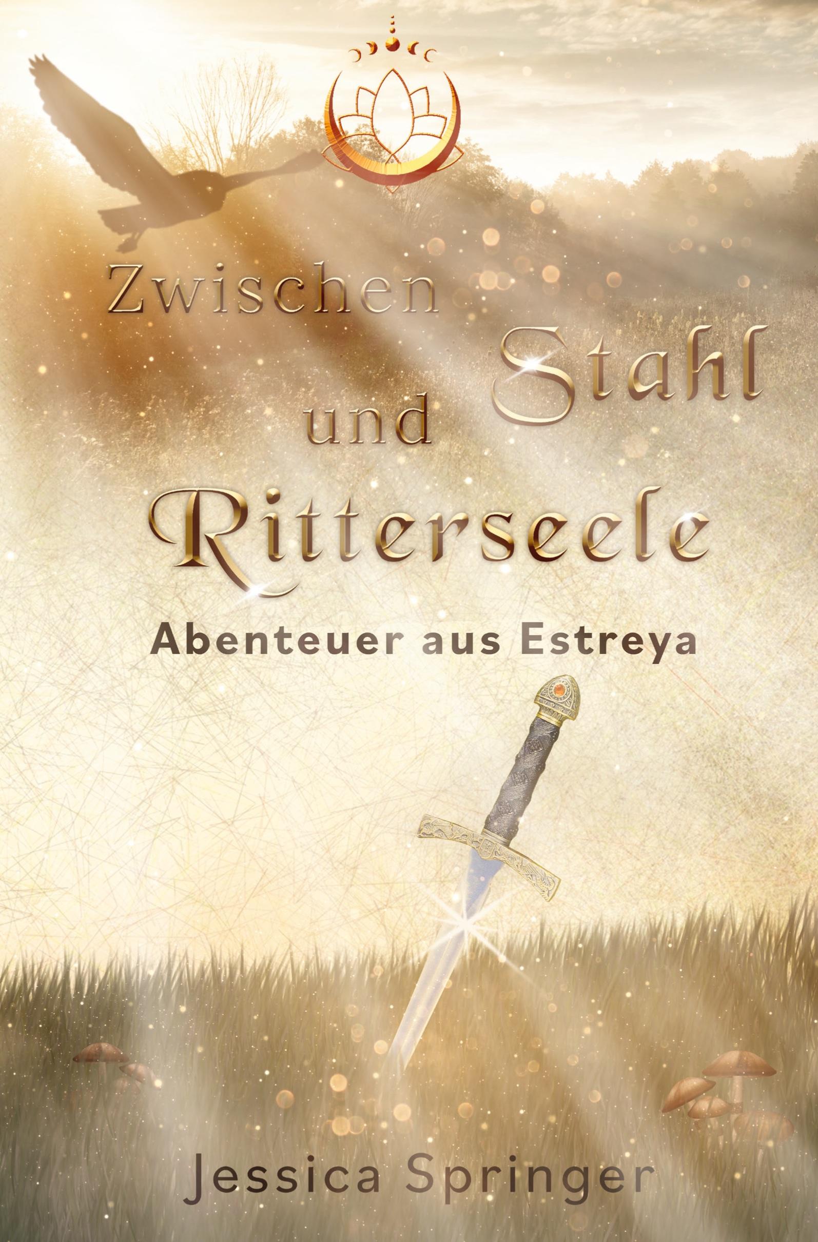 Zwischen Stahl und Ritterseele