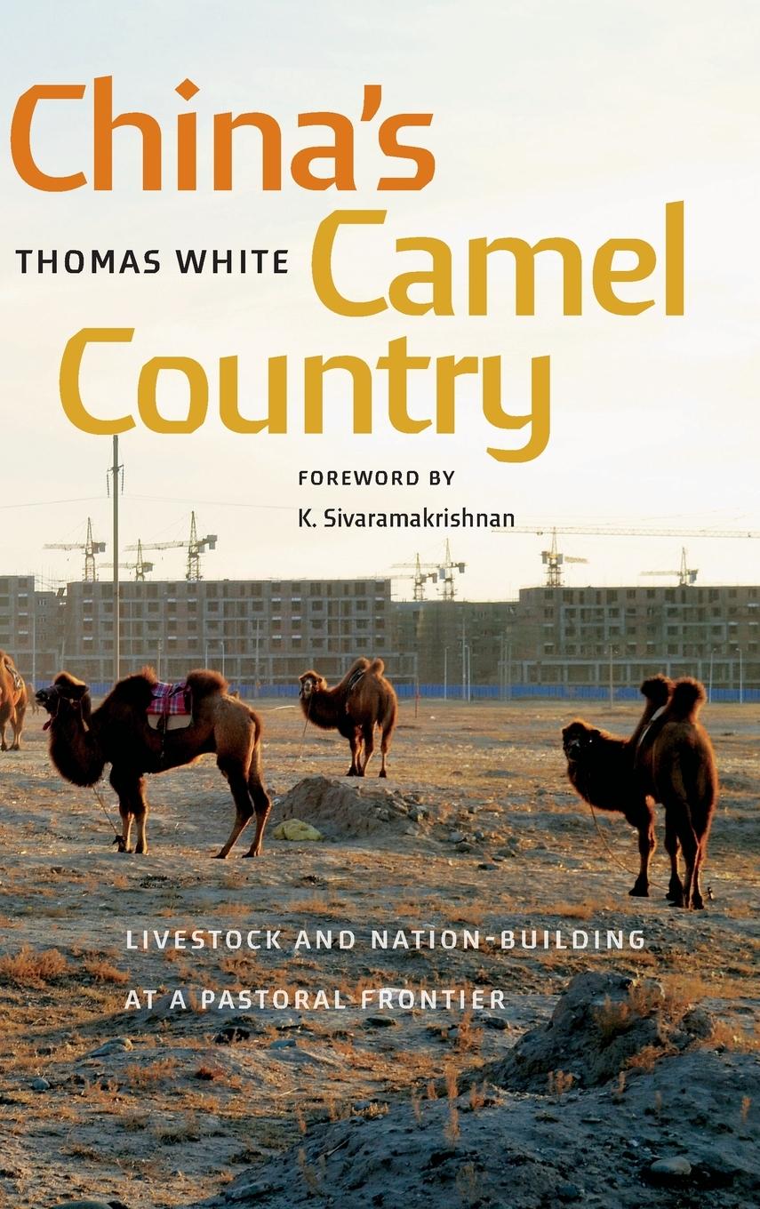 China's Camel Country