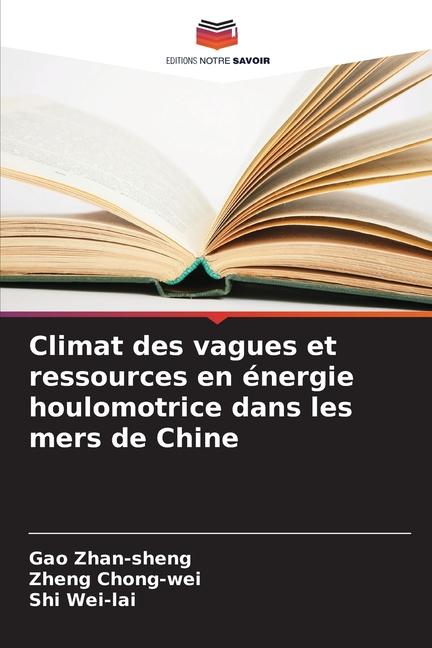 Climat des vagues et ressources en énergie houlomotrice dans les mers de Chine