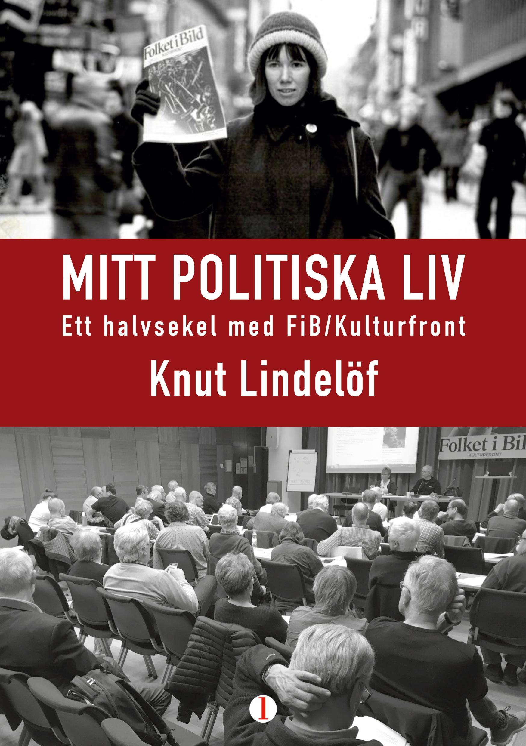 Mitt politiska liv