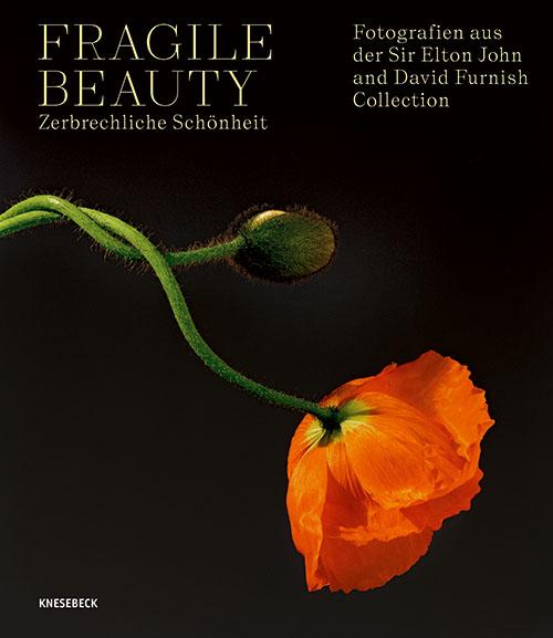 Fragile Beauty - zerbrechliche Schönheit