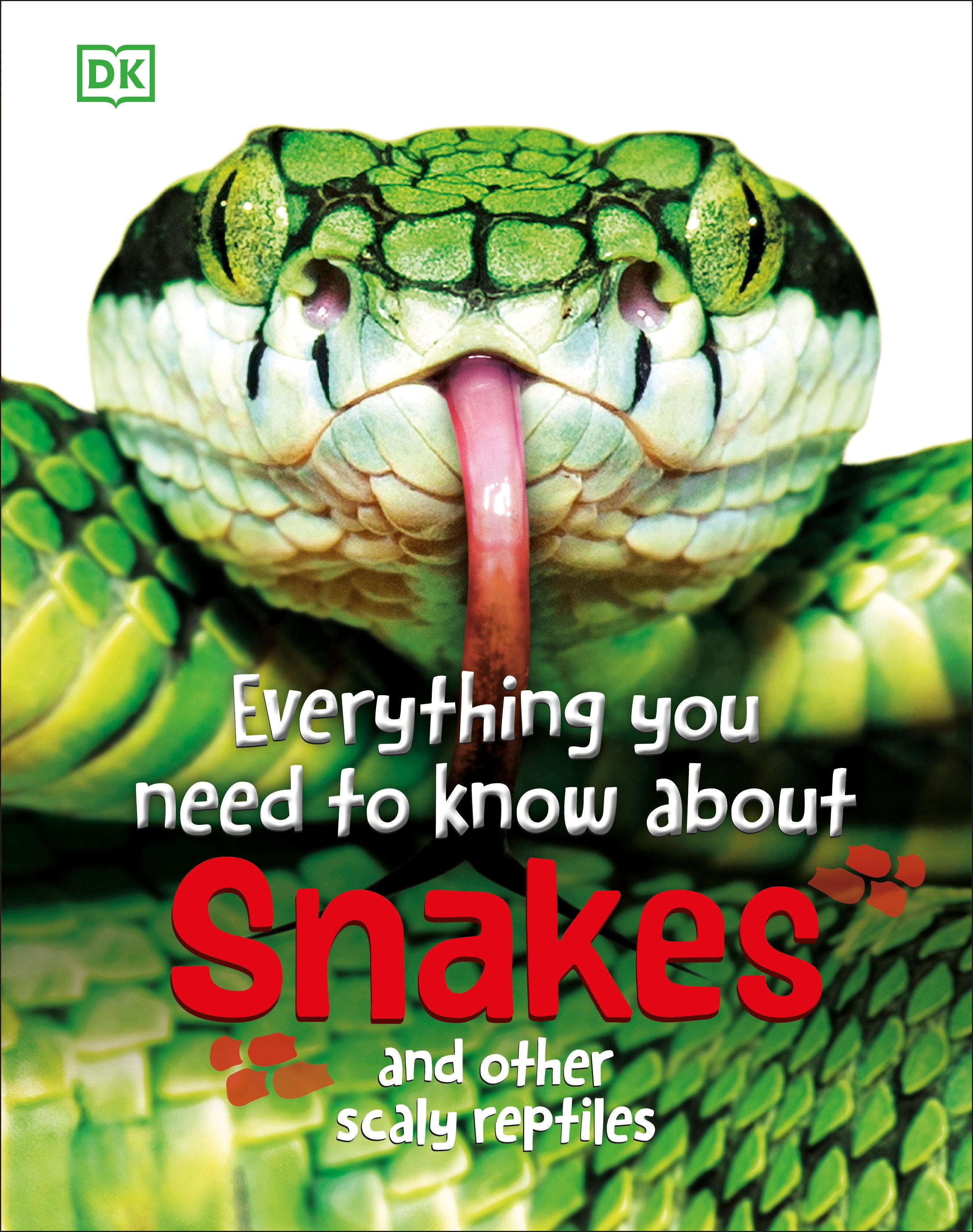 Everything You Need to Know about Snakes