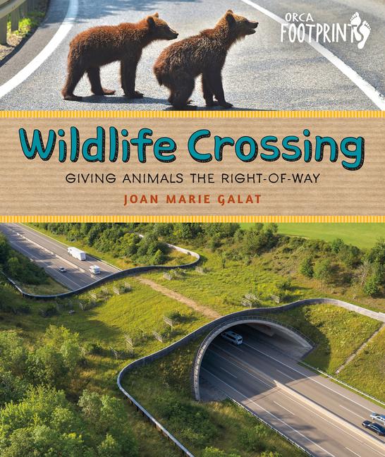 Wildlife Crossing