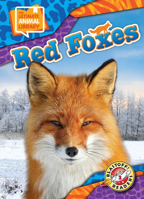 Red Foxes