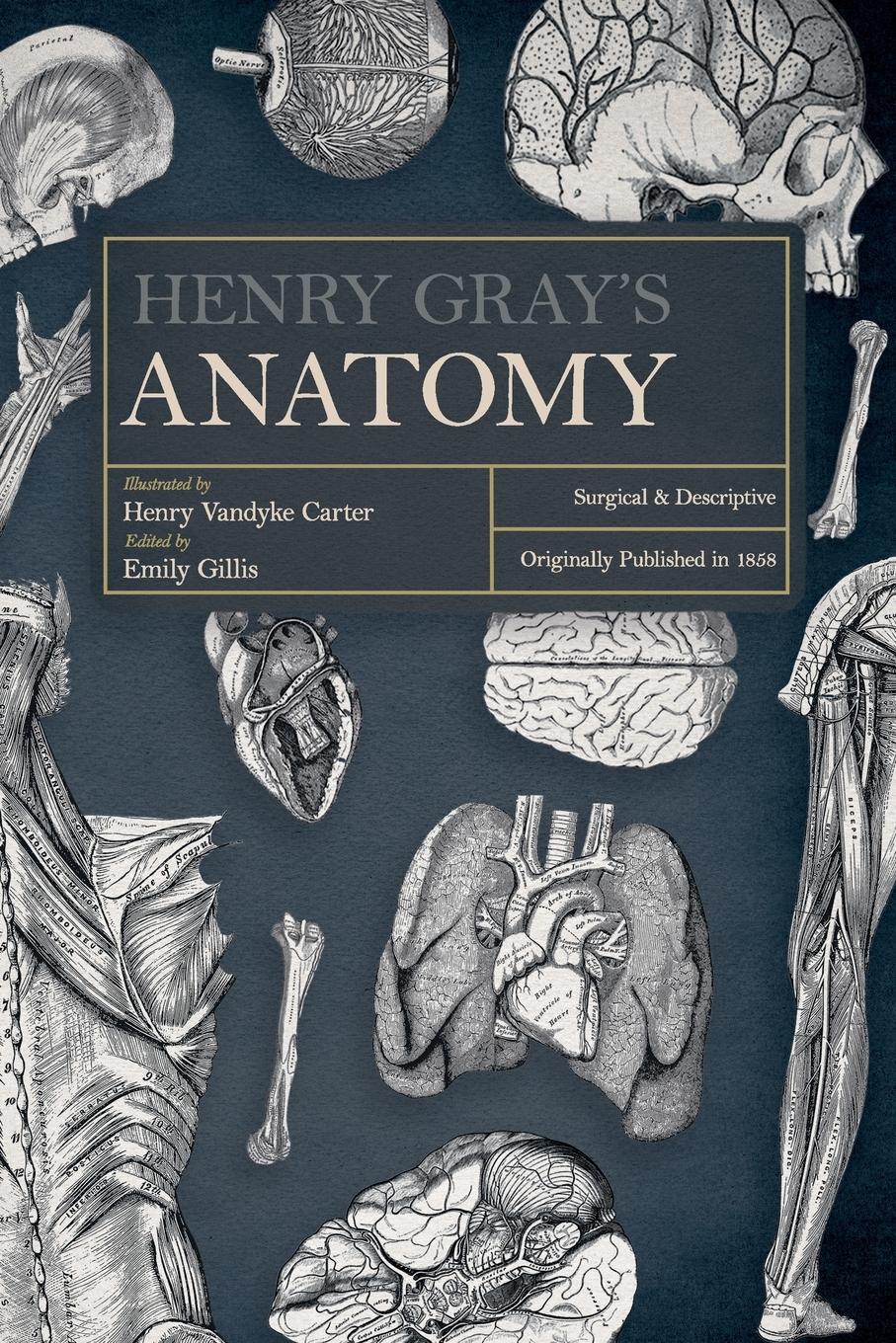 Henry Gray's Anatomy